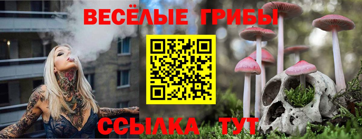 Галлюциногенные грибы GOLDEN TEACHER  Псилоцибиновые грибы ЛСД  Химки  Вход с VPN 