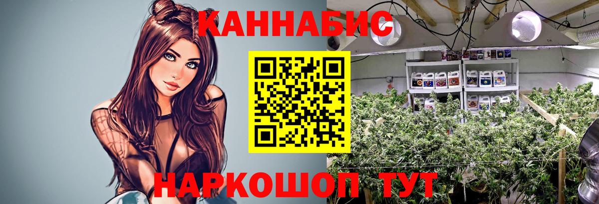 МАРИХУАНА OG Kush  Бошки марихуана Amnesia  Химки  Бошки Шишки MAZAR  Вход с VPN  Бошки Шишки планчик 